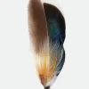 Brixton Hat Feather