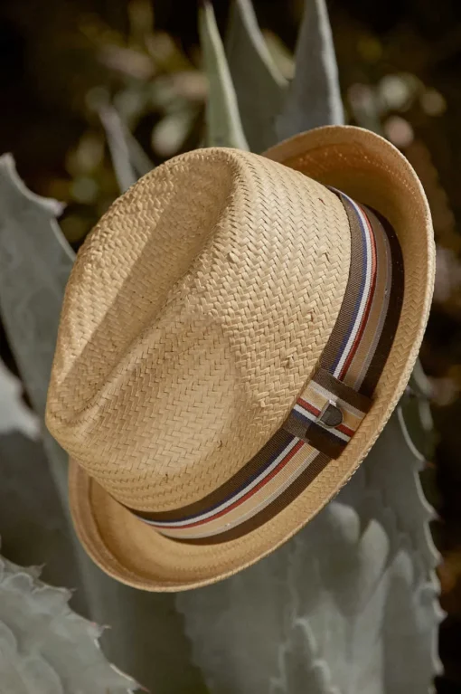 Castor Fedora