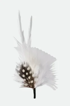 Hat Feather